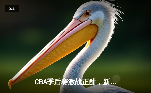 CBA季后赛激战正酣，新疆飞虎加时险胜辽宁本钢夺赛点 - 2