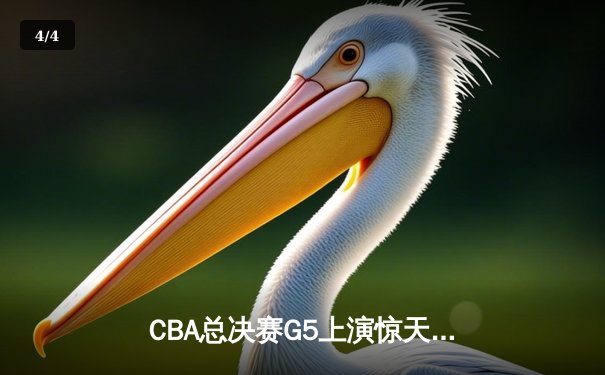 CBA总决赛G5上演惊天逆转 新疆飞虎加时险胜辽宁夺赛点 - 4